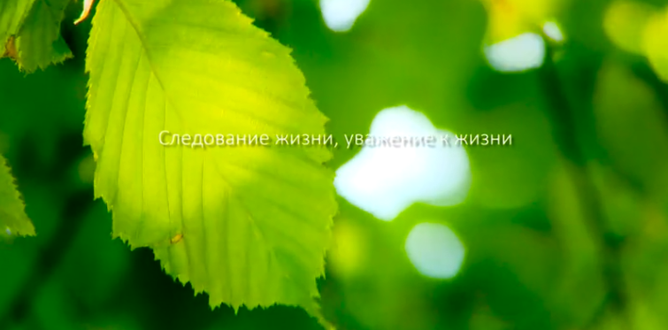 bte365集团形象片（русский）