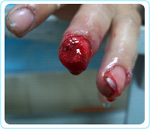 bte·365(中国)体育在线官网