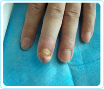 bte·365(中国)体育在线官网