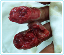 bte·365(中国)体育在线官网