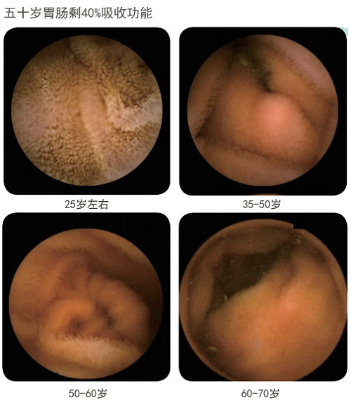 bte·365(中国)体育在线官网