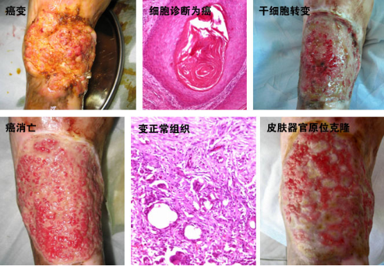 bte·365(中国)体育在线官网