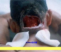 bte·365(中国)体育在线官网