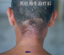 bte·365(中国)体育在线官网