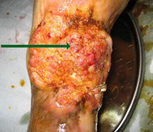 bte·365(中国)体育在线官网
