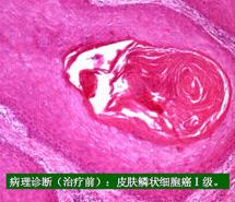 bte·365(中国)体育在线官网