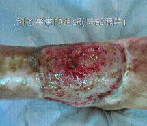 bte·365(中国)体育在线官网