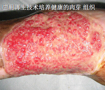 bte·365(中国)体育在线官网