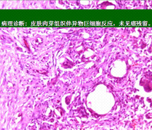 bte·365(中国)体育在线官网