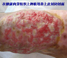 bte·365(中国)体育在线官网