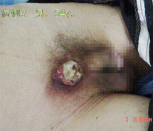 bte·365(中国)体育在线官网