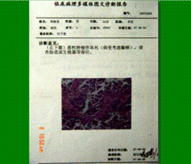 bte·365(中国)体育在线官网