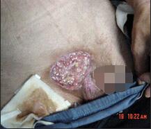 bte·365(中国)体育在线官网