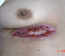 bte·365(中国)体育在线官网