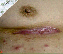 bte·365(中国)体育在线官网