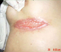 bte·365(中国)体育在线官网