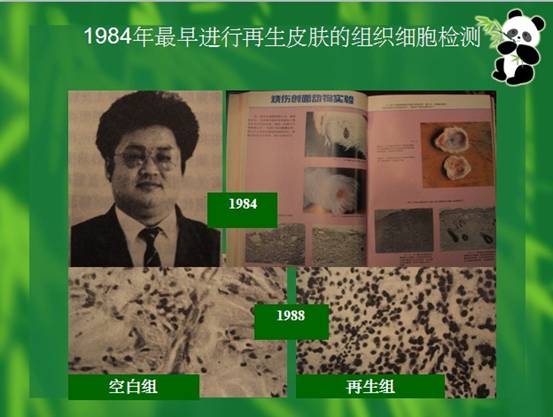 bte·365(中国)体育在线官网