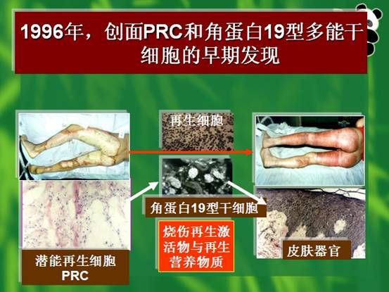 bte·365(中国)体育在线官网