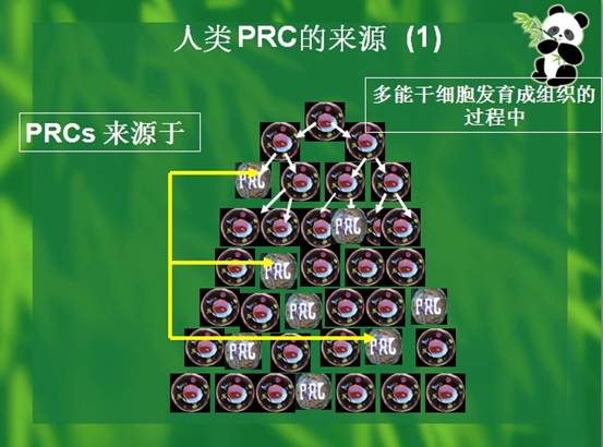bte·365(中国)体育在线官网