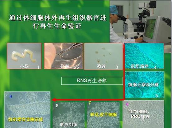 bte·365(中国)体育在线官网