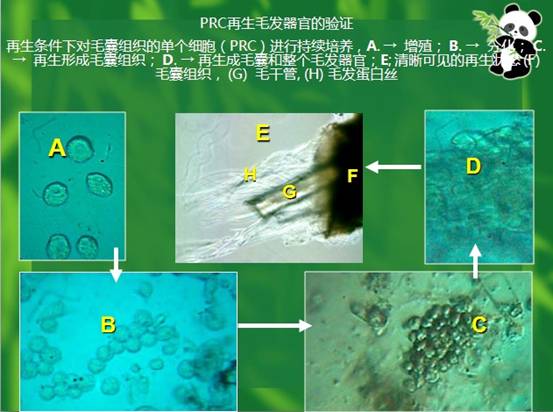 bte·365(中国)体育在线官网