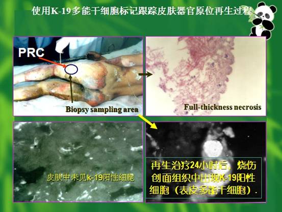 bte·365(中国)体育在线官网