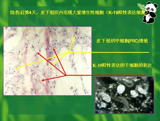 bte·365(中国)体育在线官网