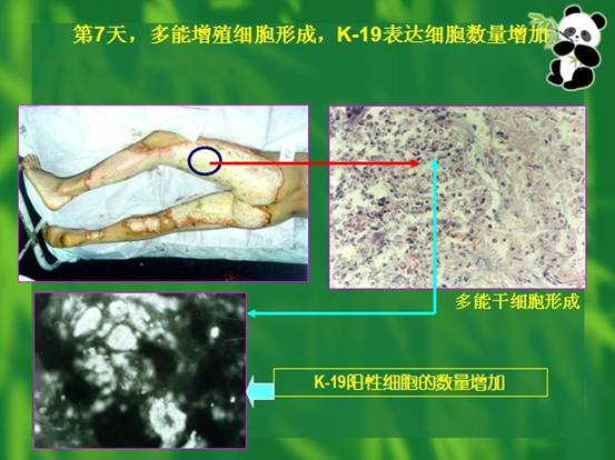 bte·365(中国)体育在线官网