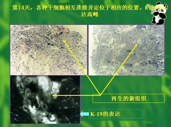 bte·365(中国)体育在线官网