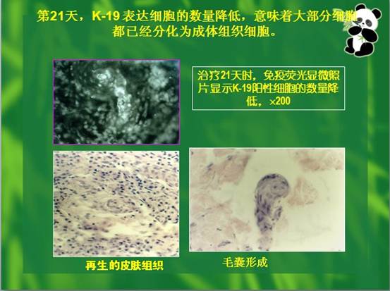 bte·365(中国)体育在线官网