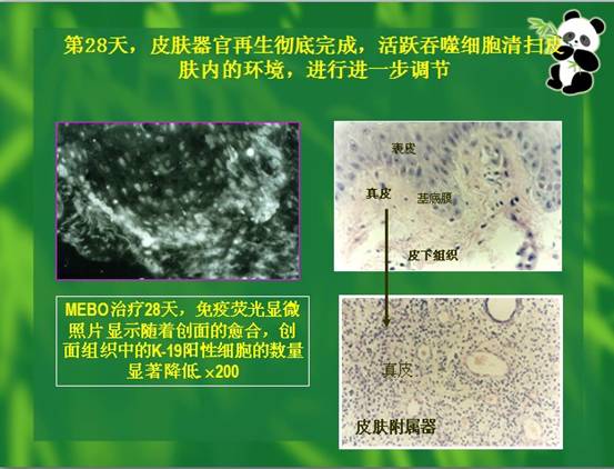 bte·365(中国)体育在线官网