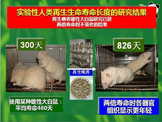 bte·365(中国)体育在线官网