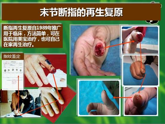 bte·365(中国)体育在线官网