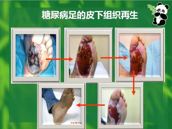 bte·365(中国)体育在线官网