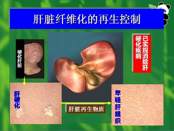 bte·365(中国)体育在线官网