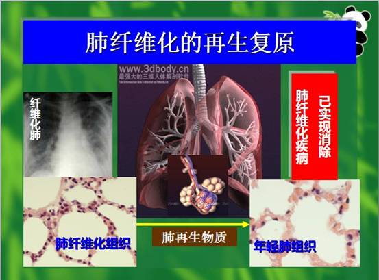 bte·365(中国)体育在线官网