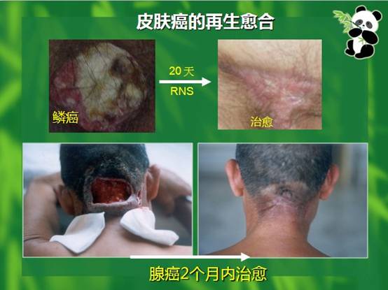 bte·365(中国)体育在线官网