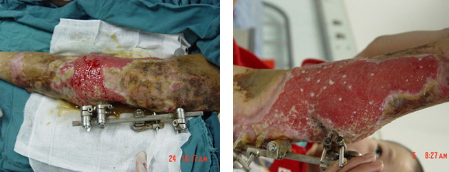 bte·365(中国)体育在线官网