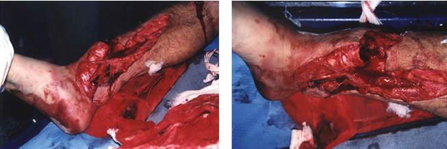 bte·365(中国)体育在线官网