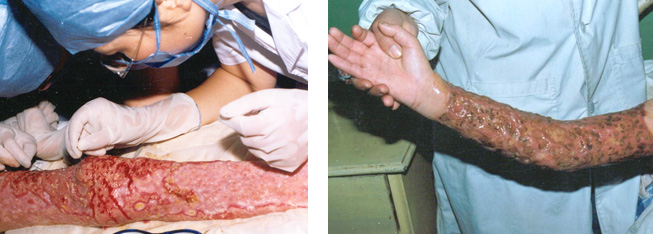 bte·365(中国)体育在线官网