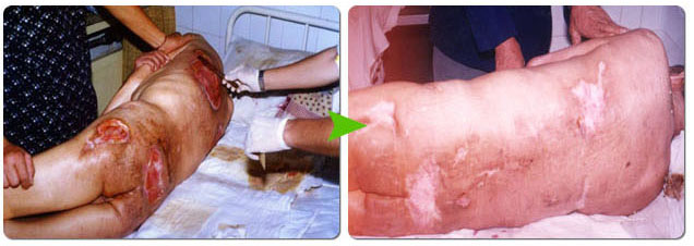 bte·365(中国)体育在线官网