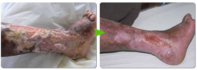 bte·365(中国)体育在线官网