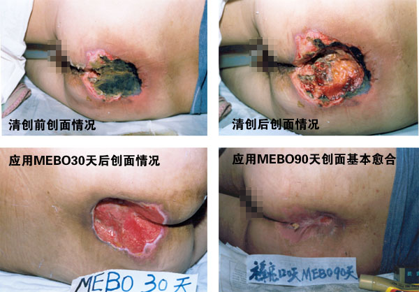 bte·365(中国)体育在线官网