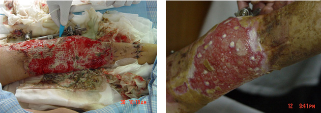 bte·365(中国)体育在线官网