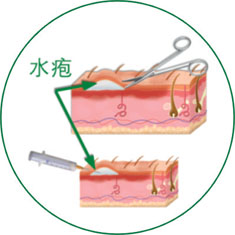 bte·365(中国)体育在线官网