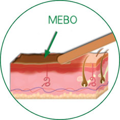 bte·365(中国)体育在线官网