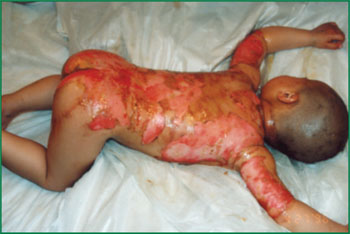 bte·365(中国)体育在线官网