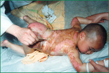 bte·365(中国)体育在线官网