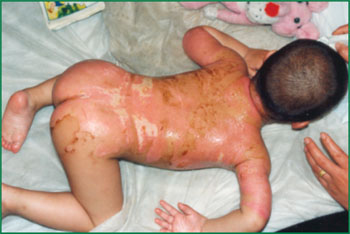 bte·365(中国)体育在线官网