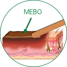 bte·365(中国)体育在线官网